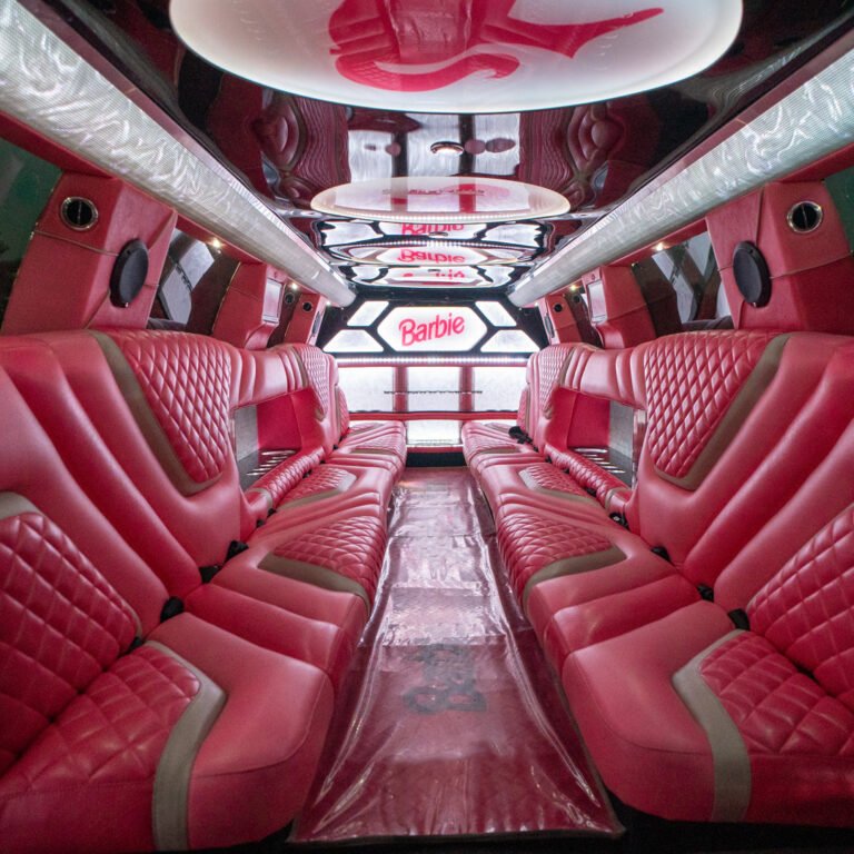 Pink Barbie 20 Seater